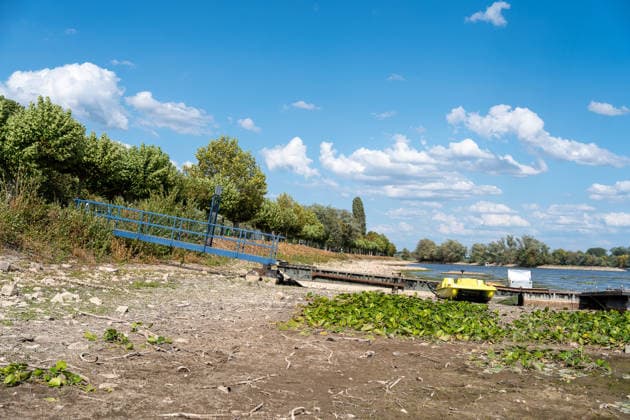 Hessen, Rhein-Niedrigwasser bei Oestrich-Winkel