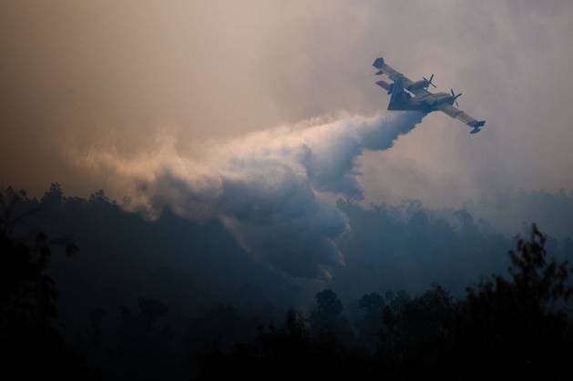 Spanien, Waldbrand in Niebla bei Huelva