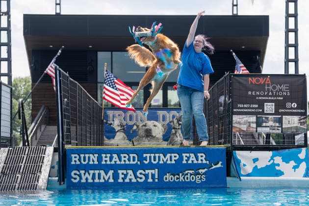 USA, DockDogs Big Air Wettbewerb in Washington DC