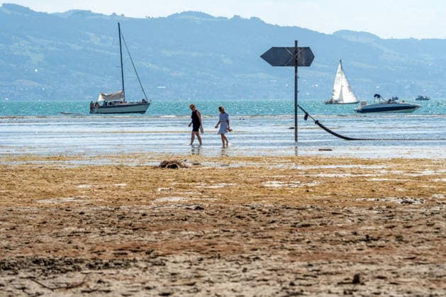 Bodensee-Wasserstand erreicht historischen Tiefstand, Archivbilder