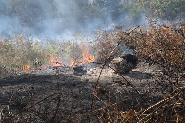 Hessen, Waldbrand im Main-Kinzig-Kreis