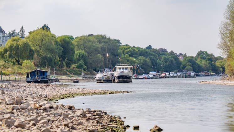 NRW, Rhein-Niedrigwasser in Bornheim-Hersel