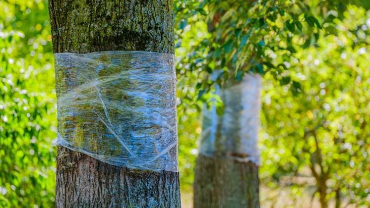 NRW, Glyphosat auf Bottroper Spielplatz nachgewiesen