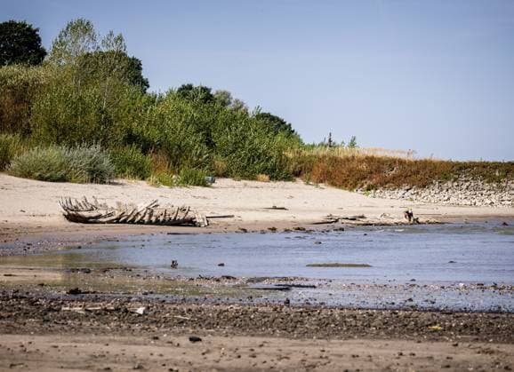 Niederlande, Rhein-Niedrigwasser bei Spijk