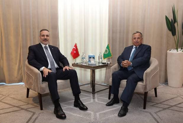 Ägypten, Hakan Fidan bei Treffen mit Nabil Fahmy in El Alamein