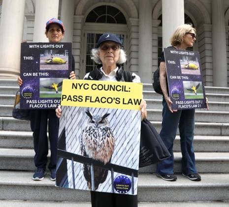 USA, Proteste für Lights Out-Gesetzgebung in New York