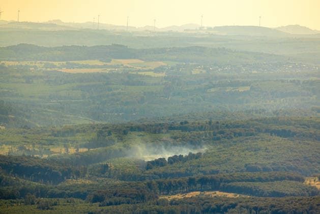 NRW, Waldbrand bei Arnsberg im Sauerland