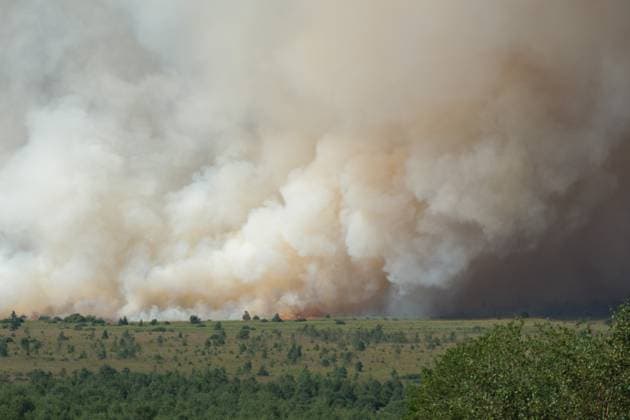 Belgien, Waldbrand im Naturreservat Hautes Fagnes in Jalhay