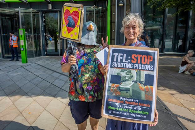 Großbritannien, Protest gegen Taubenschüsse an TfL-Standorten in Stratford