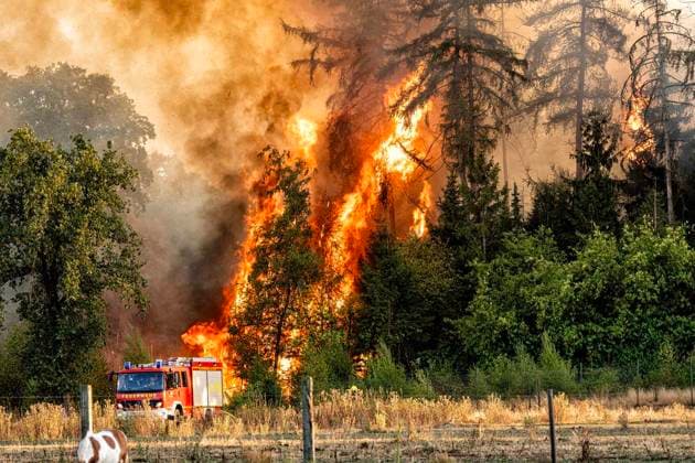 Nordrhein-Westfalen, Waldbrand bei Sonsbeck-Labbeck