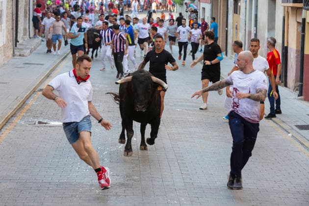 Spanien, Stierlauf bei Fiestas de San Roque in Penafiel