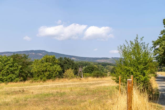 Hessen, vertrocknete Wiesen vor dem Altkönig im Taunus