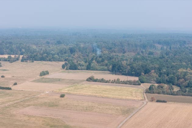 Hessen, Feuerwehr löscht Waldbrand bei Messel