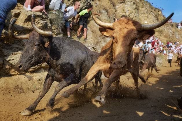 Spanien, Traditioneller Pilon-Stierlauf in Falces