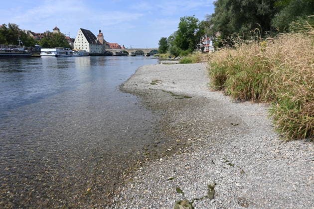 Bayern, Niedrigwasser der Donau in Regensburg