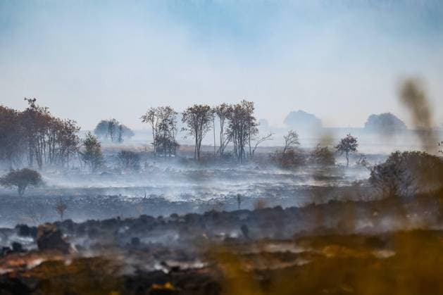 Belgien, Waldbrände im Hohen Venn