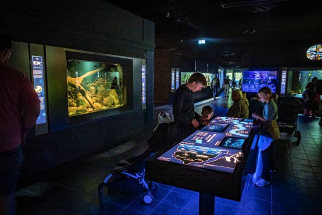 Berlin, Aquarium des Berliner Zoos wieder eröffnet