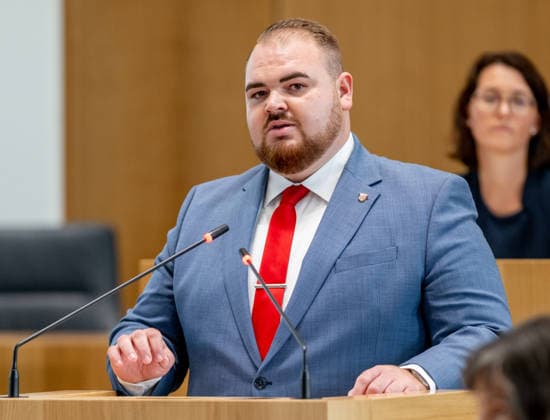 Rheinland-Pfalz, Plenarsitzung im Landtag in Mainz