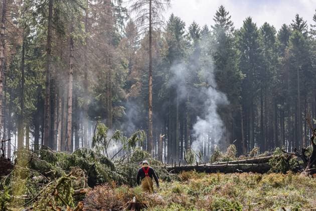 Belgien, Waldbrände im Hohen Venn