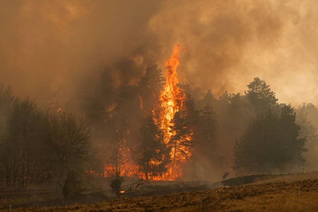 Serbien, Waldbrand bei Grebenac