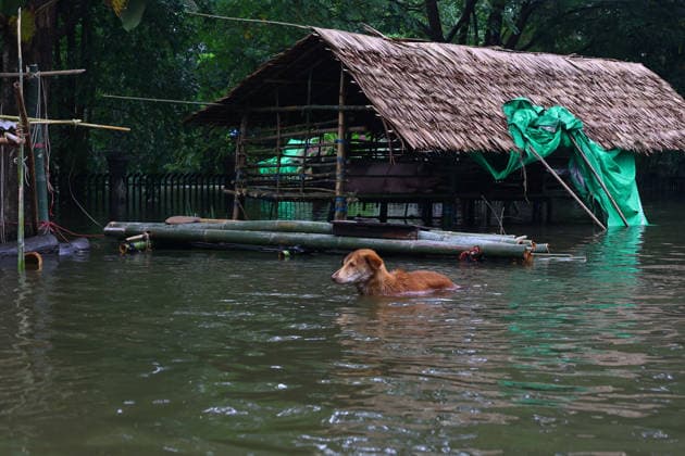 Myanmar, Überschwemmungen in Ngathaingchaung