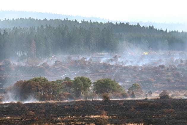 Belgien, Waldbrände im Hohen Venn