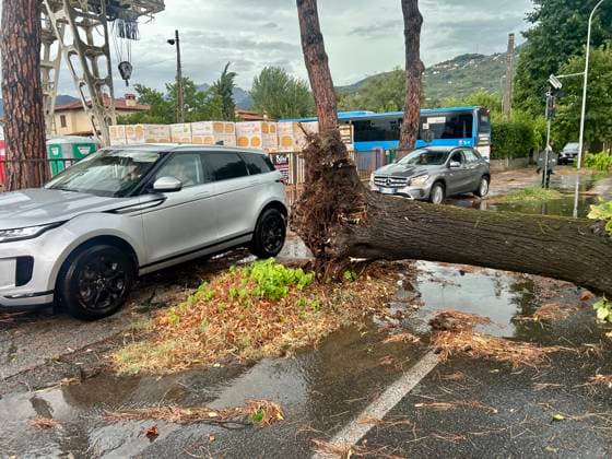 Italien, Unwetter verursacht Schäden und umgestürzte Bäume in Versilia