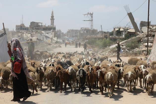 Nahostkonflikt, Gaza: Kriegsfolgen in Wohngebieten von al-Mughraqa