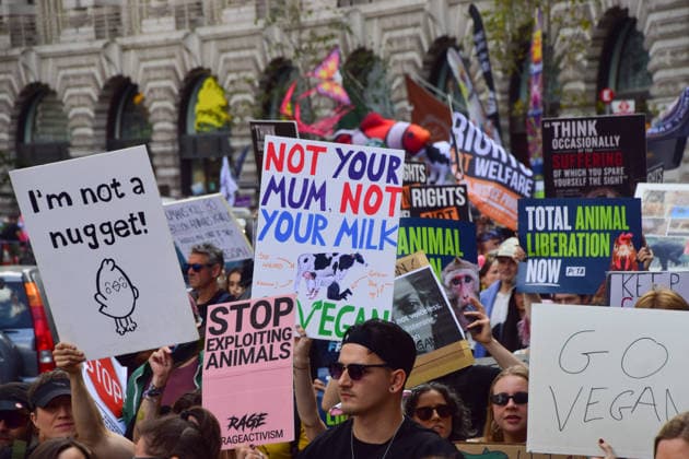 Großbritannien, National Animal Rights March in London