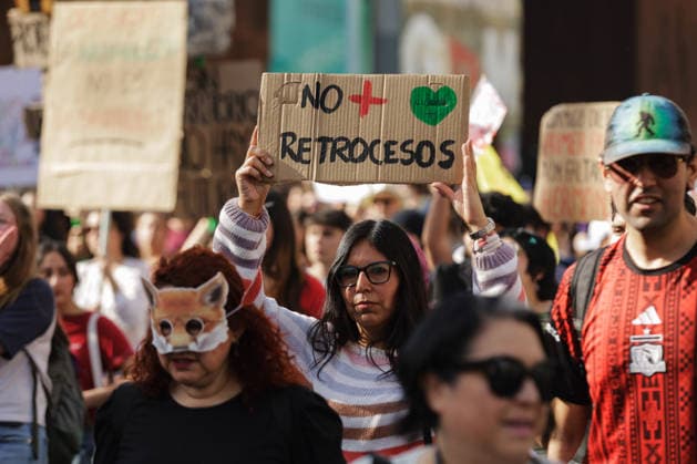 Chile, Umweltgruppen protestieren in Santiago