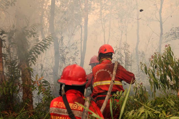Indonesien, Einsatz gegen Waldbrände in Süd-Sumatra, Pamulutan, Ogan Ilir