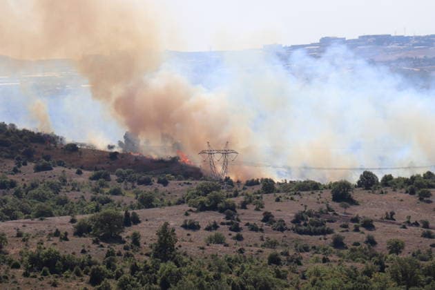 Türkei, Waldbrand in Kocaeli