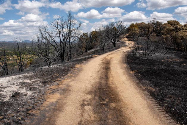 Spanien, Schäden durch Waldbrände in der Region Madrid