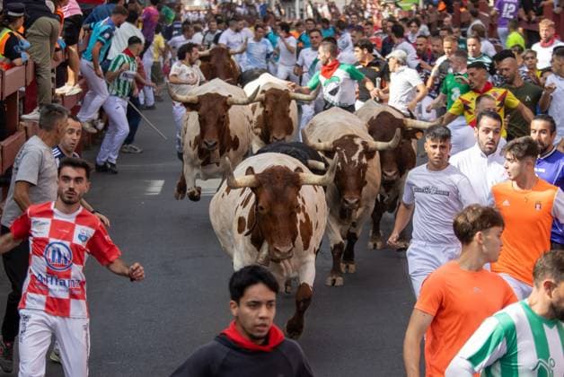 Spanien, Stierlauf in San Sebastian de los Reyes