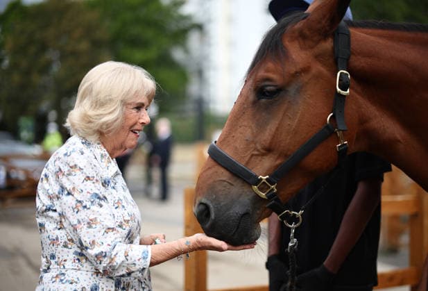 Royals, Königin Camilla Ebony Horse Club in London