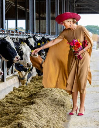 Royals, Willem-Alexander und Maxima der Niederlande in Drenthe