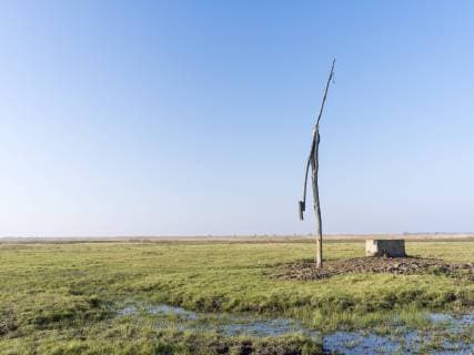 Kalendermotive: Die Puszta