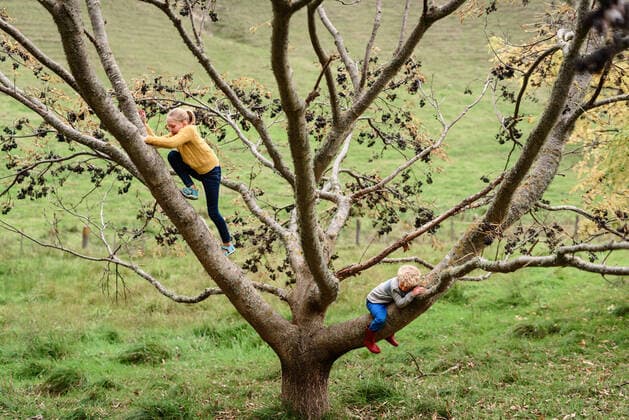 Coronavirus, Wald und Natur - Bester Spielplatz für Kinder