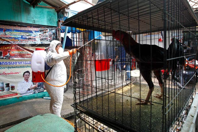 Coronavirus in Thailand, Desinfektion in Bangkok