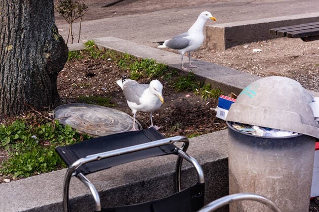 Coronavirus, Impressionen aus Kiel