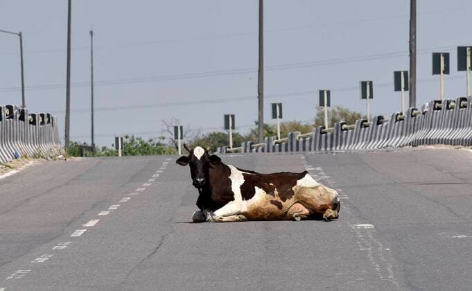 Coronavirus in Indien, Impressionen aus Neu-Delhi