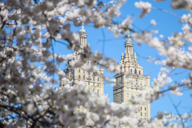 Coronavirus in USA, Eindrücke aus dem Central Park New York