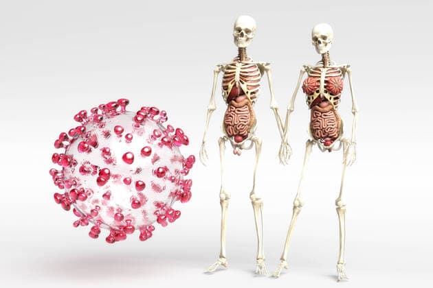 Coronavirus, 3D-Illustrationen