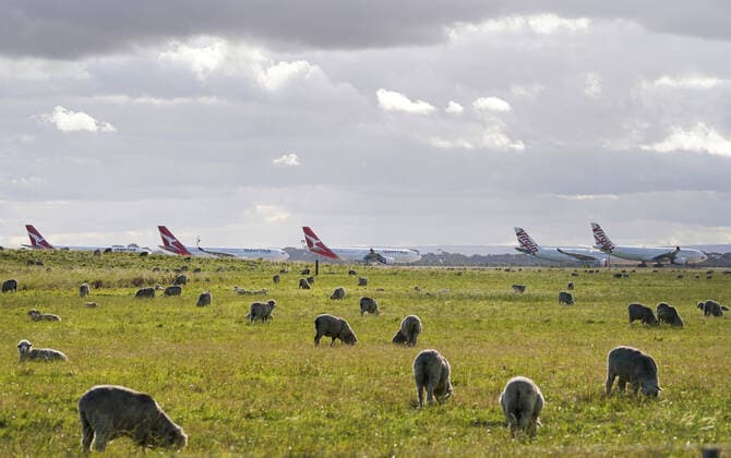 Coronavirus in Australien, Flugzeuge Parken auf dem Flughafen in Melbourne