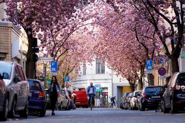 Coronavirus in Bonn, Zu viel Kirschblüten-Andrang: Altstadtstraßen gesperrt