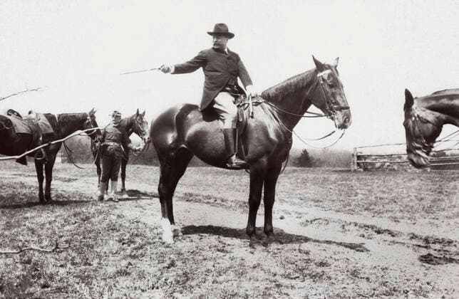 IMAGO History, Die großen Präsidenten der USA, Theodore Roosevelt