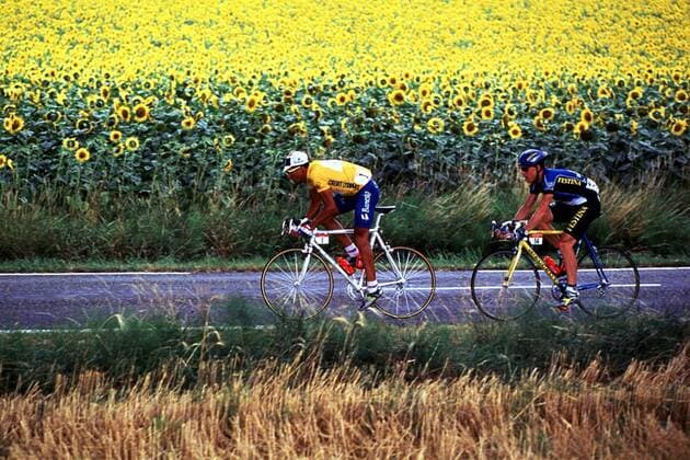 Miguel Indurain (Spanien Team Banesto) vor Stephen Hodge (Australien Festina) vorbei an einem Sonnenblumenfeld Radsport Herren Tour de France 1995: Radrennsport, Radrennen, Straßenradsport, Straßenradrennsport, Straße Gruppe Mende-Revel Dynamik,
