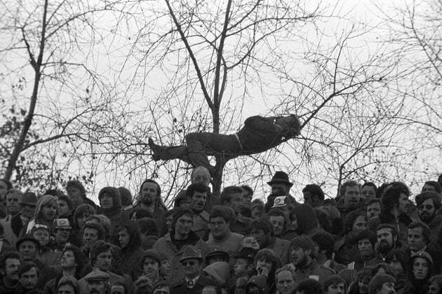 Ein Fan macht ein Nickerchen auf einem Baum Fußball 1. BL Herren Saison 1976 1977, Vneg, Vsw Totale Betzenberg Kaiserslautern