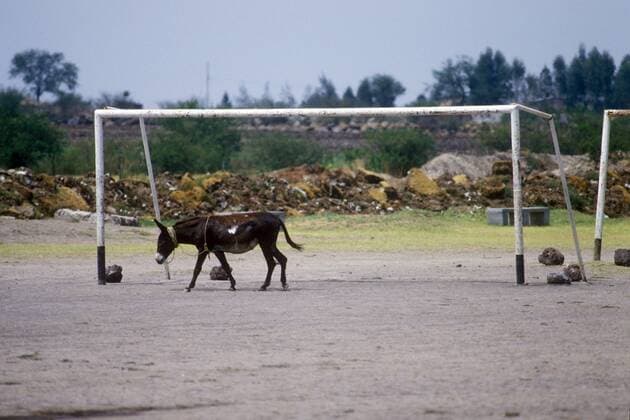 Der Esel muss immer ins Tor - am Rande der WM 1986 in Mexico Fußball WM Herren Weltmeisterschaft 1986 Totale Komik,