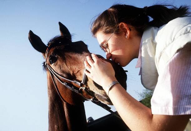 Nicole Uphoff (Deutschland) versorgt Rembrandt mit Streicheleinheiten Pferdesport Damen Dressur 1988, Reiten, Reitsport, Dressurreiten, Shooting, Fotoshooting, Fototermin Einzelbild